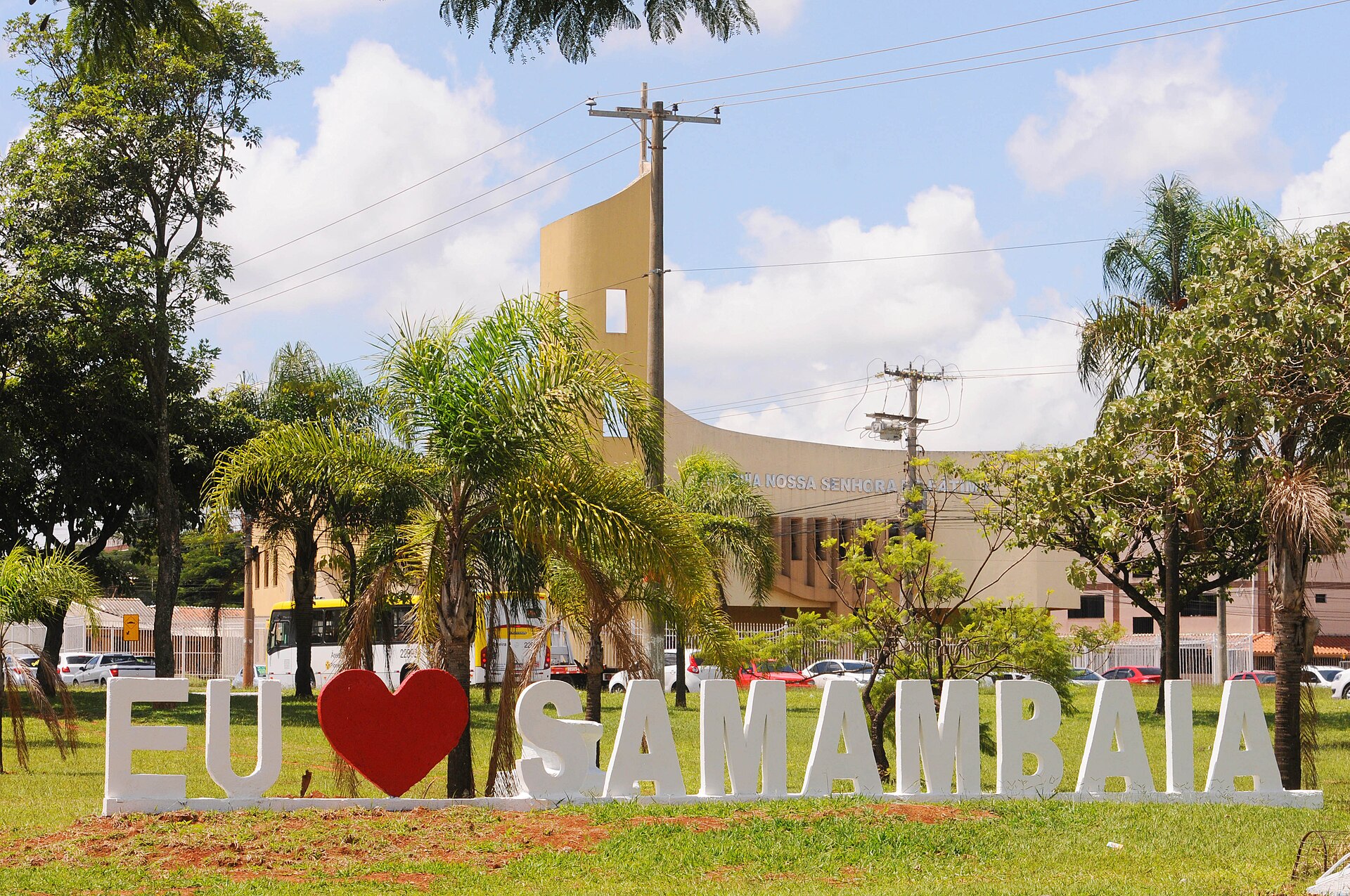 Samambaia
